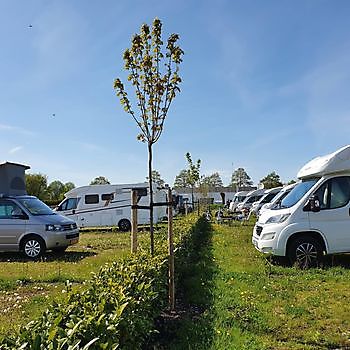 Wohnmobilstellplatz Yachthafen Winschoten - Havenbeheer Oldambt